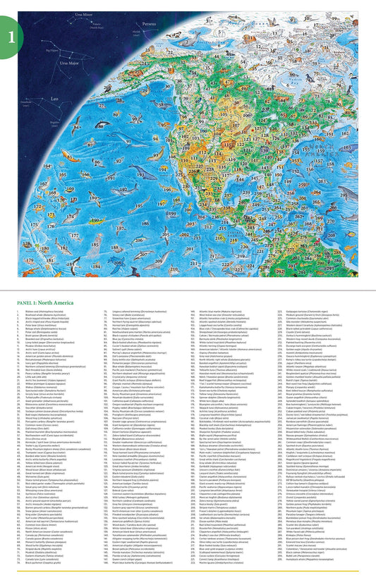 Wild World Puzzle (1500 pieces)