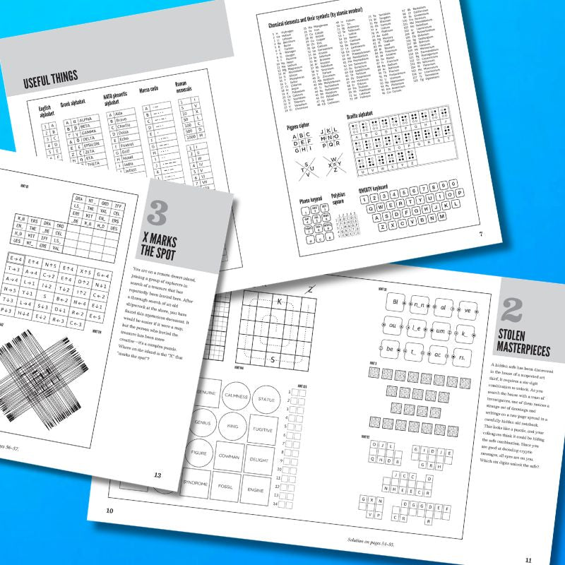 A Compendium of Meta-Puzzles