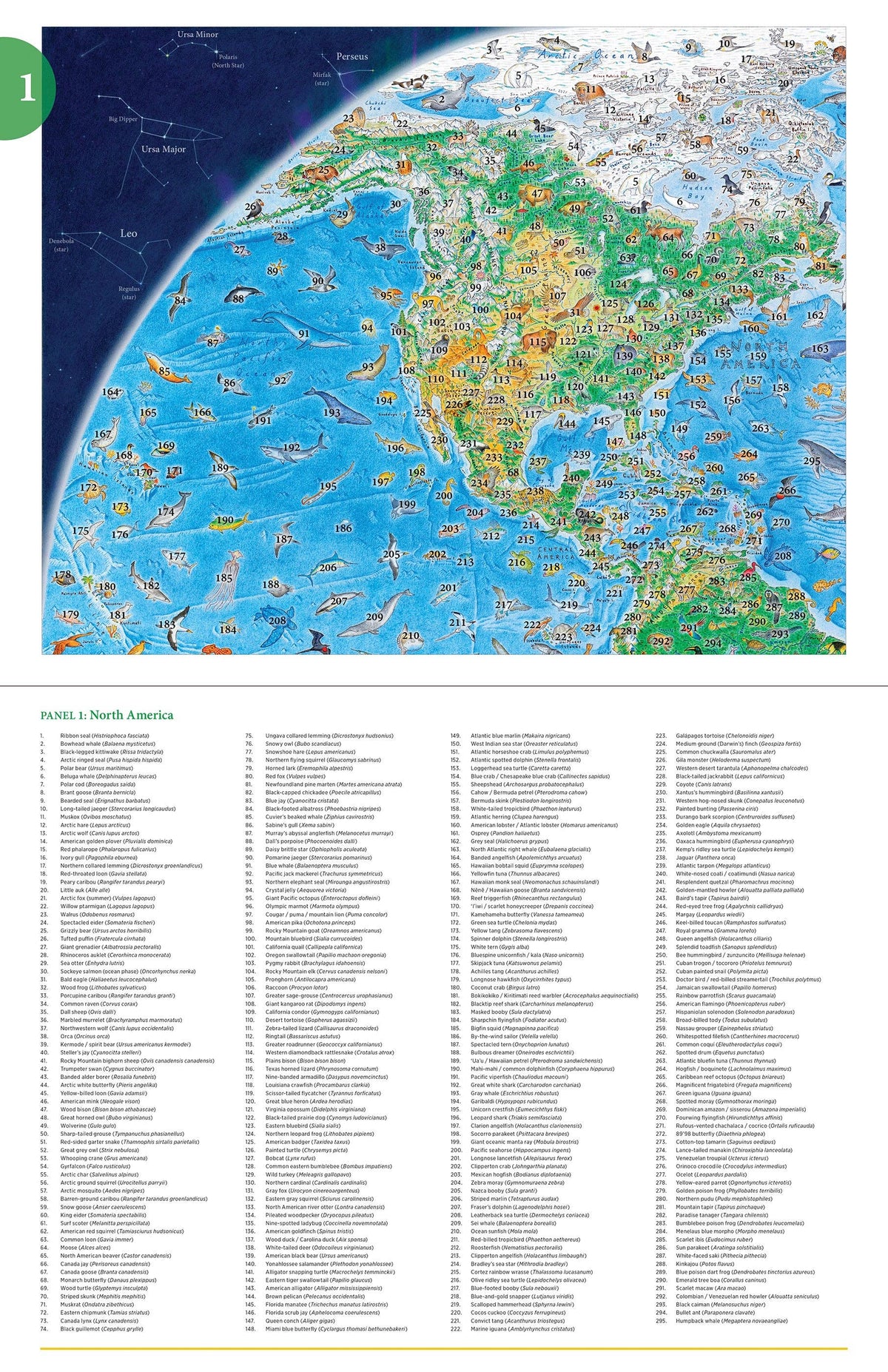 Wild World Puzzle (1500 pieces)