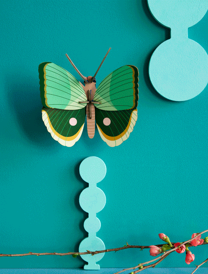 3D Wall Art | Fern Striped Butterfly