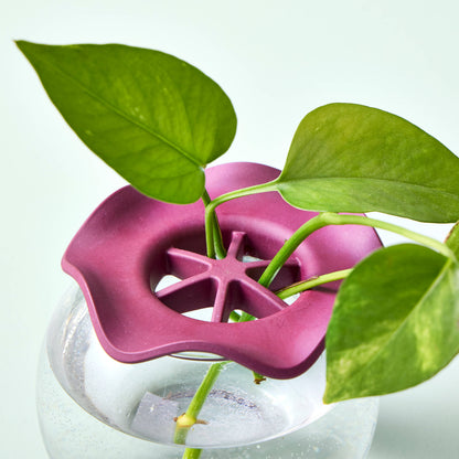 Botanical Keepers (Set of 2)