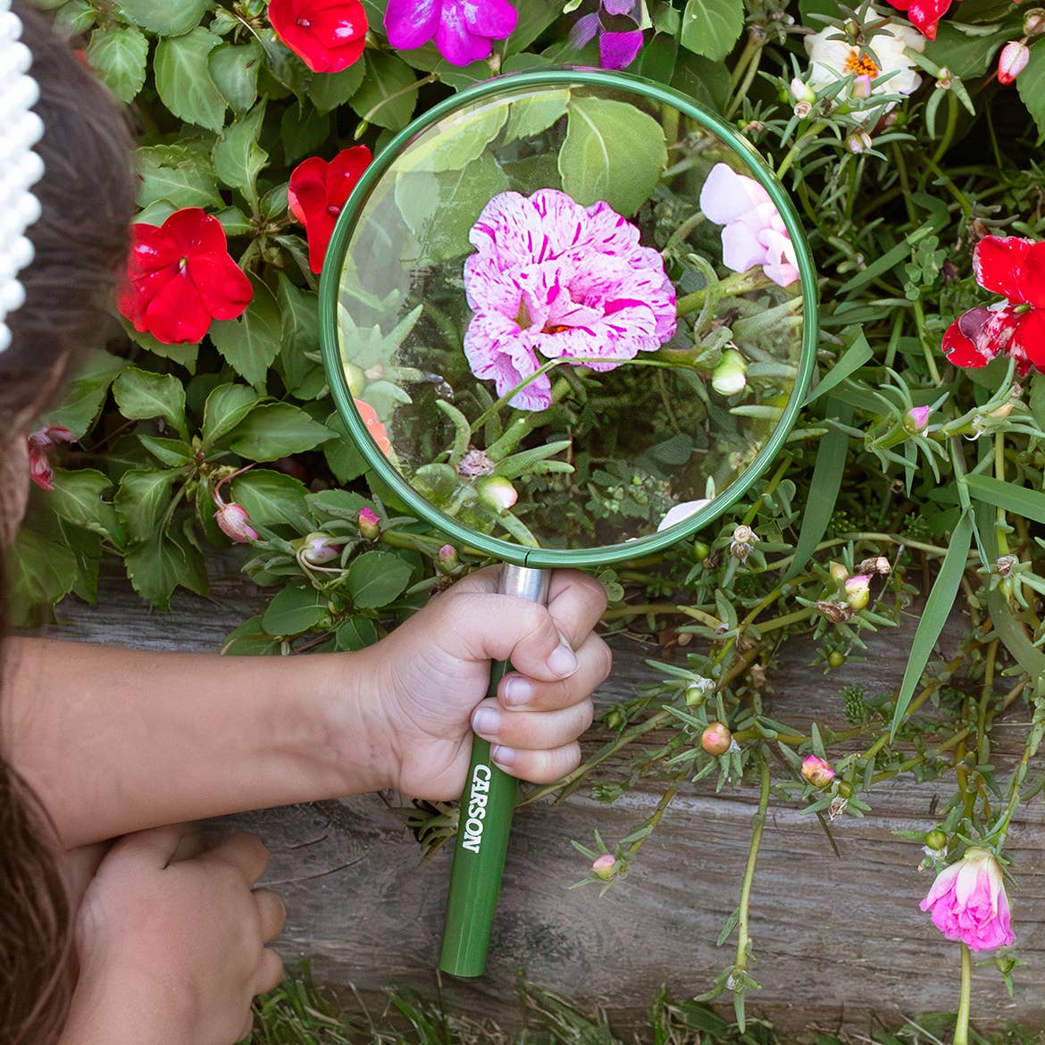 Handheld Magnifier