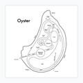Oyster Inner Workings