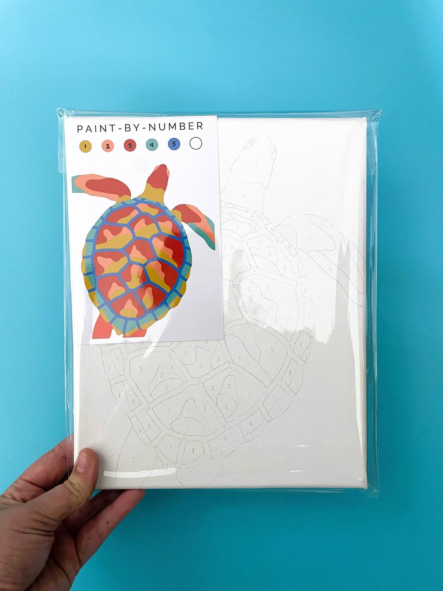 Paint-By-Number Kits