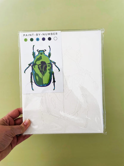 Paint-By-Number Kits