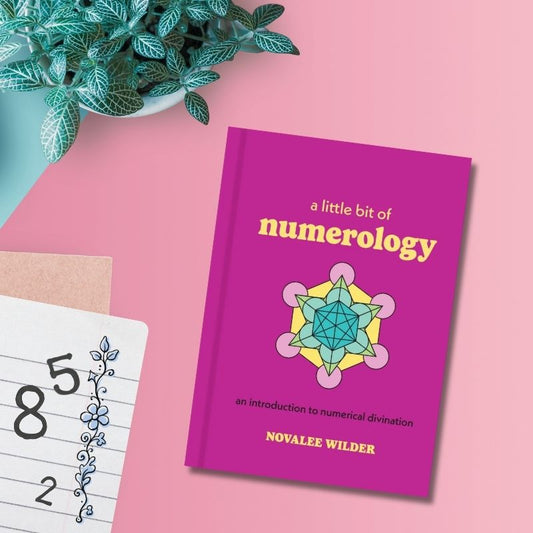 A Little Bit of Numerology Book
