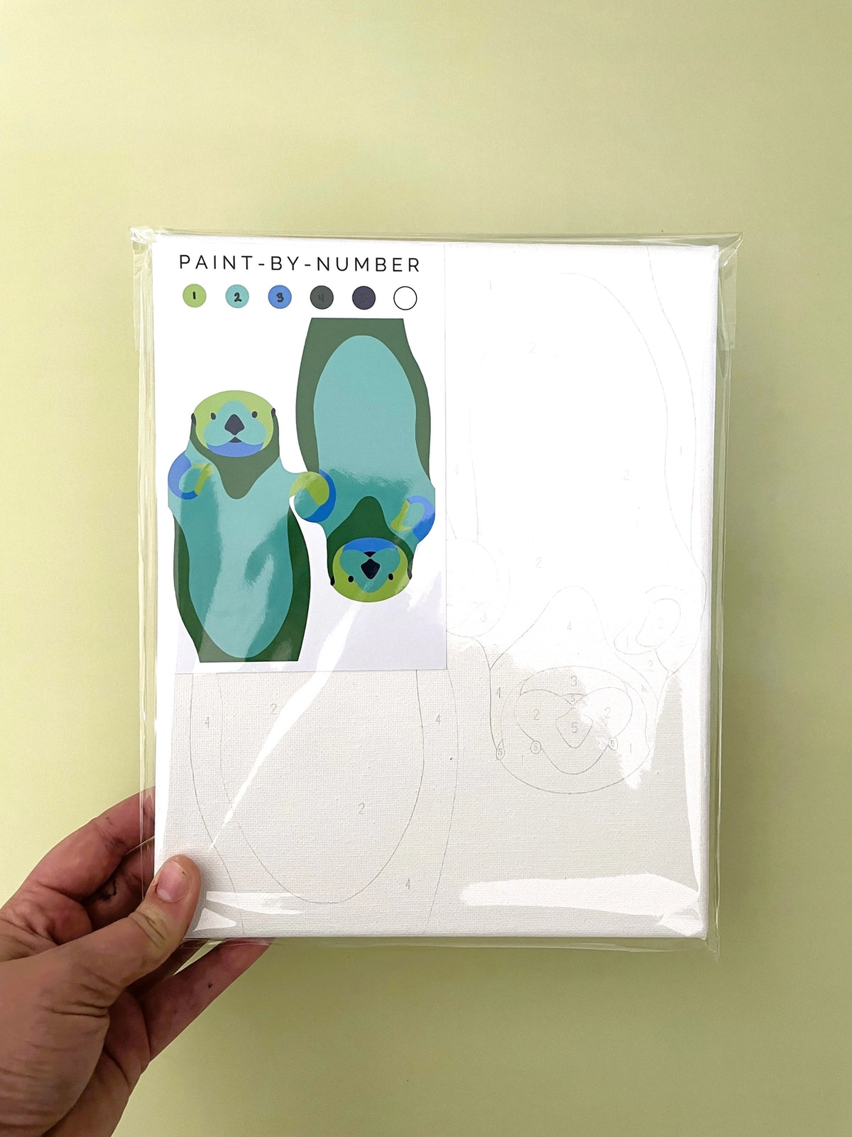 Paint-By-Number Kits