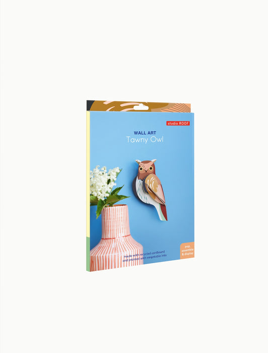 3D Wall Art | Tawny Owl