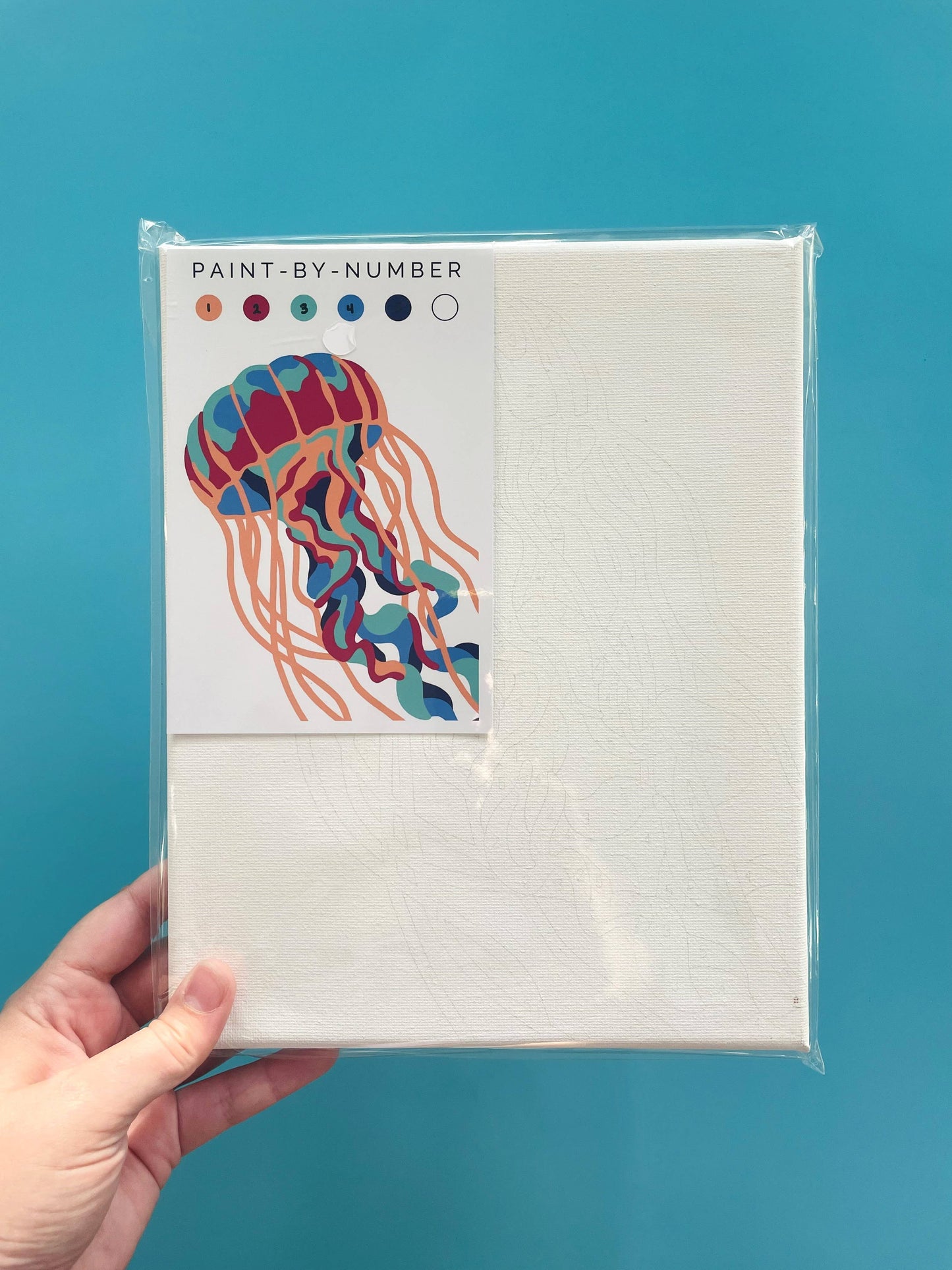 Paint-By-Number Kits