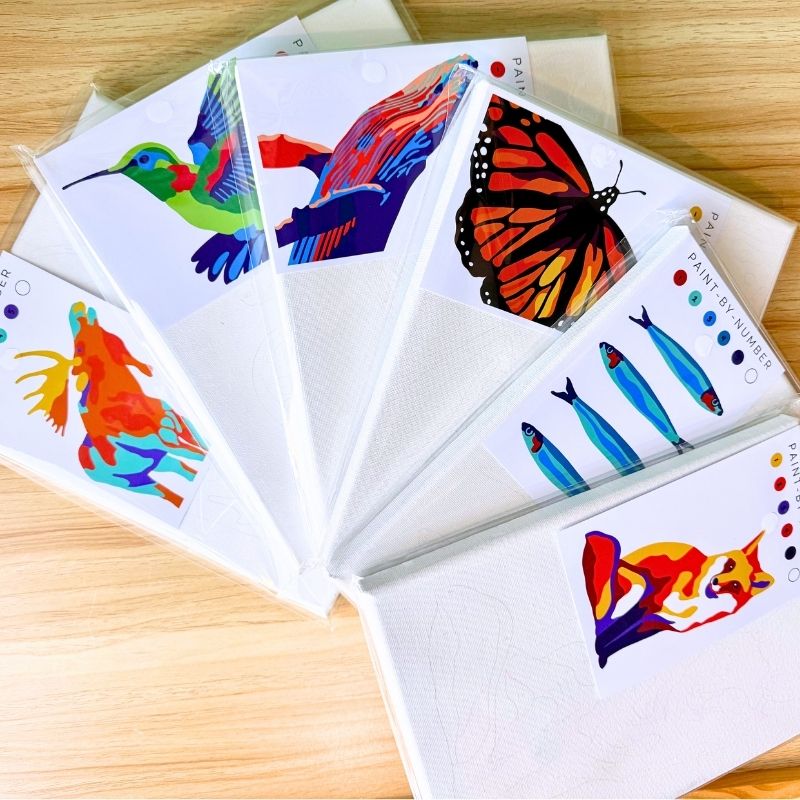 Paint-By-Number Kits